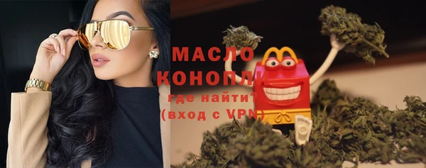 мдпв Богородицк