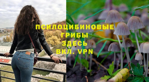 твердый Богданович