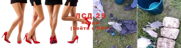 твердый Богданович