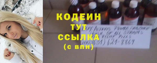 твердый Богданович