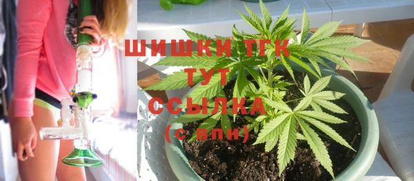 мдпв Богородицк