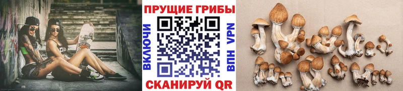это наркотические препараты  где купить наркоту  Вуктыл  Псилоцибиновые грибы ЛСД 